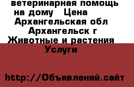 ветеринарная помощь на дому › Цена ­ 200 - Архангельская обл., Архангельск г. Животные и растения » Услуги   